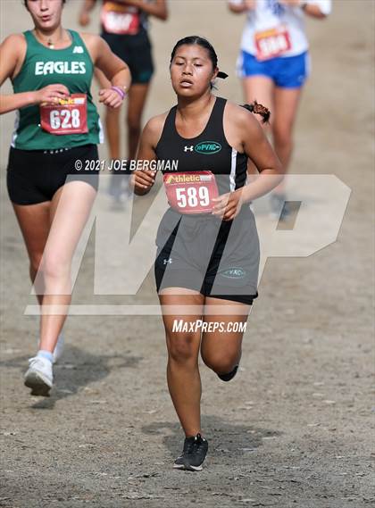 Thumbnail 3 in CIF Central Section Cross Country Championships (Girls D3 Race) photogallery.
