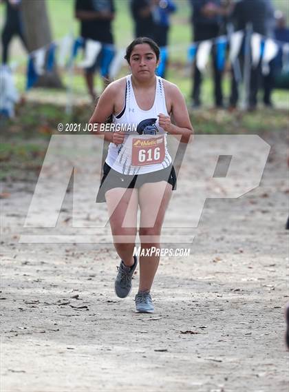 Thumbnail 1 in CIF Central Section Cross Country Championships (Girls D3 Race) photogallery.