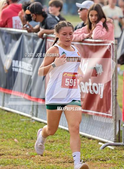 Thumbnail 2 in CIF Central Section Cross Country Championships (Girls D3 Race) photogallery.