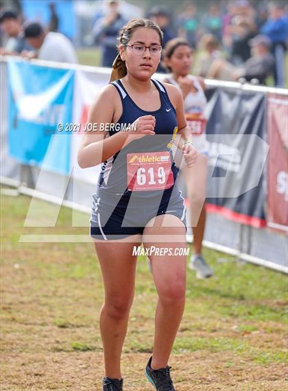 Thumbnail 3 in CIF Central Section Cross Country Championships (Girls D3 Race) photogallery.