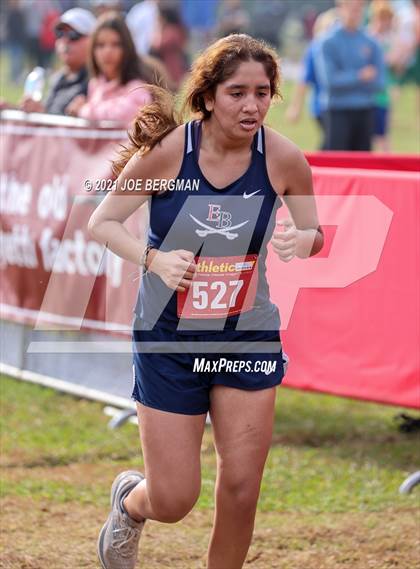 Thumbnail 1 in CIF Central Section Cross Country Championships (Girls D3 Race) photogallery.