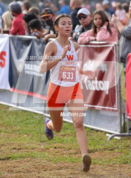 Thumbnail 3 in CIF Central Section Cross Country Championships (Girls D3 Race) photogallery.