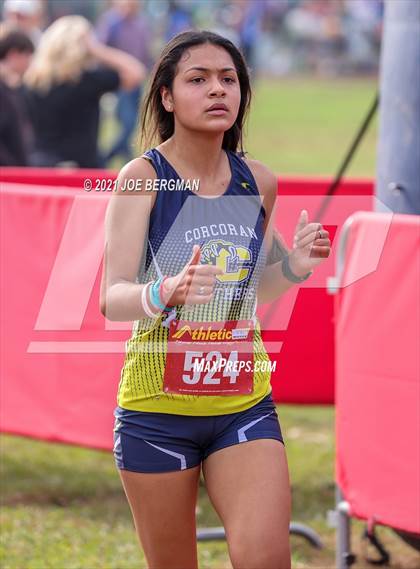 Thumbnail 3 in CIF Central Section Cross Country Championships (Girls D3 Race) photogallery.