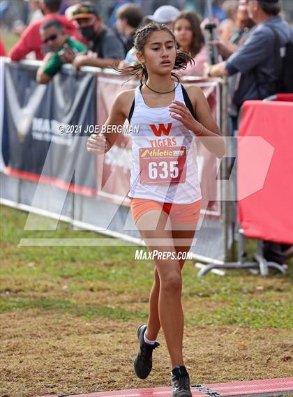 Thumbnail 1 in CIF Central Section Cross Country Championships (Girls D3 Race) photogallery.
