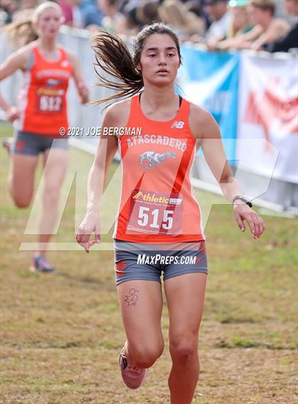 Thumbnail 3 in CIF Central Section Cross Country Championships (Girls D3 Race) photogallery.
