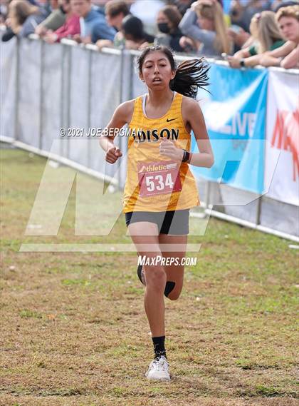 Thumbnail 2 in CIF Central Section Cross Country Championships (Girls D3 Race) photogallery.