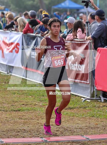 Thumbnail 3 in CIF Central Section Cross Country Championships (Girls D3 Race) photogallery.