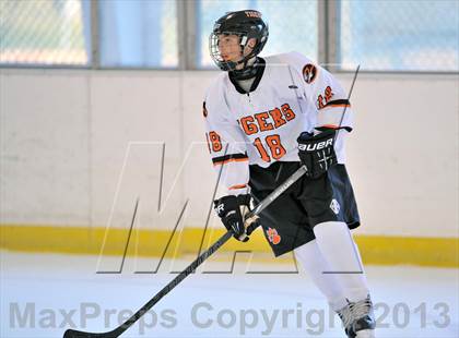 Thumbnail 1 in White Plains vs. Sleepy Hollow/Irvington/Dobbs Ferry (Tiger Tournament) photogallery.