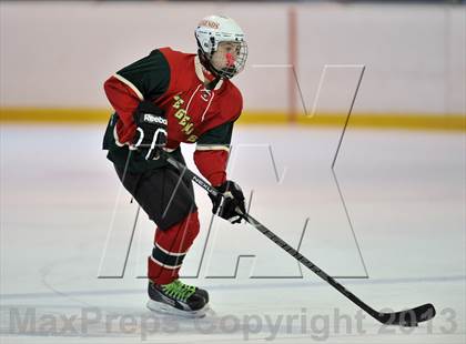 Thumbnail 1 in White Plains vs. Sleepy Hollow/Irvington/Dobbs Ferry (Tiger Tournament) photogallery.