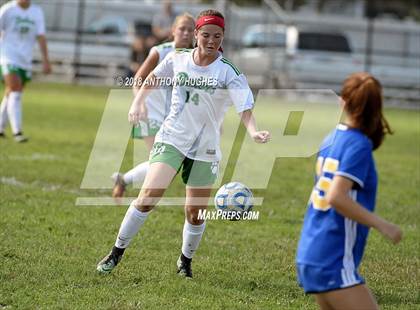 Thumbnail 1 in Farmingdale @ East Meadow photogallery.
