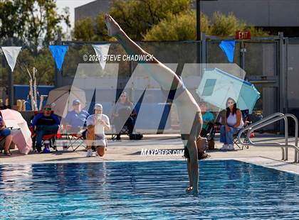 Thumbnail 2 in Phoenix Country Day Small School Invitational (Diving) photogallery.