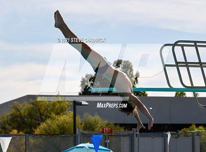 Thumbnail 3 in Phoenix Country Day Small School Invitational (Diving) photogallery.