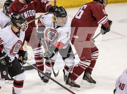 Thumbnail 1 in Bedford vs Concord (NHIAA D1 Final) photogallery.