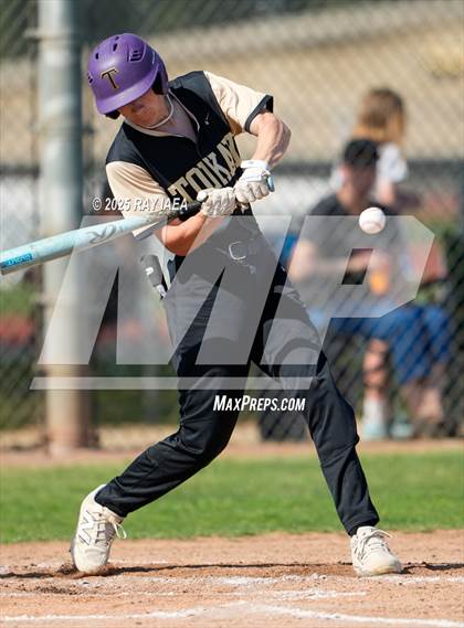 Thumbnail 2 in Tokay @ Hughson photogallery.