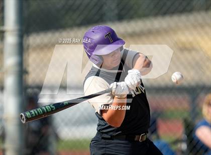 Thumbnail 3 in Tokay @ Hughson photogallery.