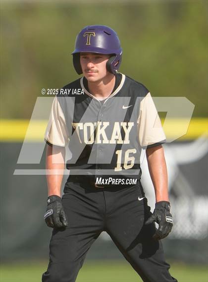 Thumbnail 2 in Tokay @ Hughson photogallery.