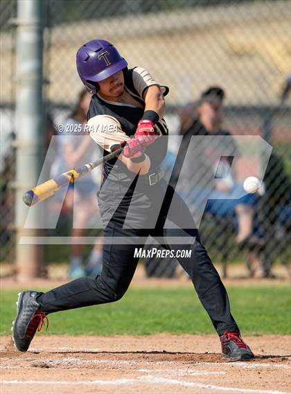 Thumbnail 2 in Tokay @ Hughson photogallery.
