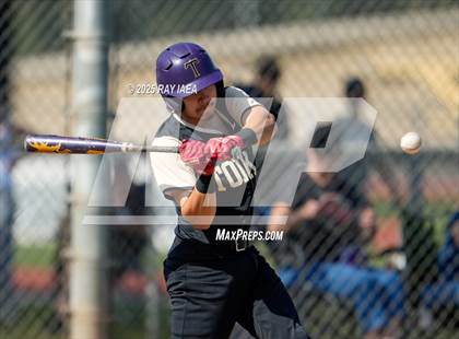 Thumbnail 2 in Tokay @ Hughson photogallery.