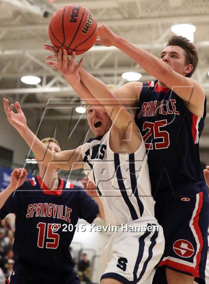Thumbnail 1 in Springville @ Syracuse photogallery.