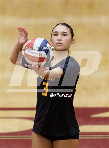 Thumbnail 1 in Lambert @ Lassiter photogallery.