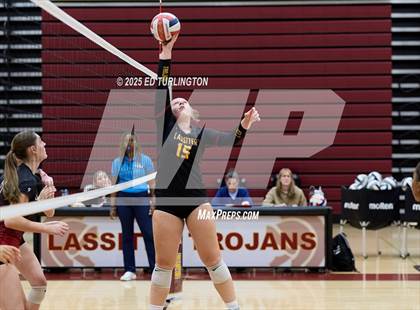 Thumbnail 1 in Lambert @ Lassiter photogallery.