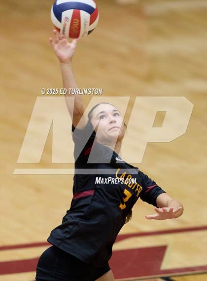 Thumbnail 2 in Lambert @ Lassiter photogallery.