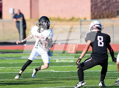 Thumbnail 3 in Hamilton @ Millsap photogallery.