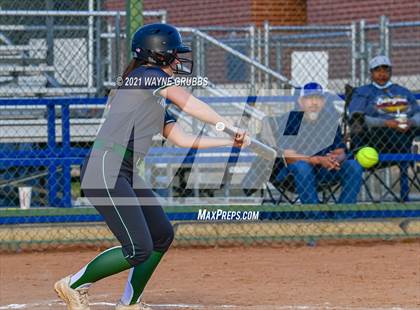 Thumbnail 2 in Jacksonville @ Harleton photogallery.