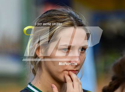 Thumbnail 3 in Jacksonville @ Harleton photogallery.