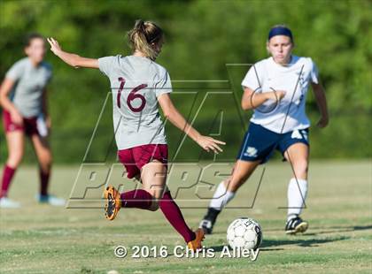Thumbnail 3 in Walker Valley vs. Dobyns-Bennett photogallery.
