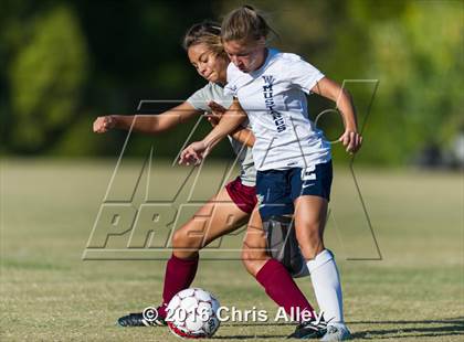 Thumbnail 1 in Walker Valley vs. Dobyns-Bennett photogallery.