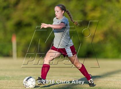Thumbnail 1 in Walker Valley vs. Dobyns-Bennett photogallery.