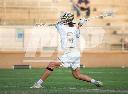 Thumbnail 3 in Maclay @ Buchholz photogallery.