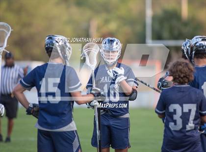 Thumbnail 1 in Maclay @ Buchholz photogallery.
