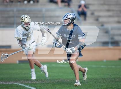 Thumbnail 3 in Maclay @ Buchholz photogallery.