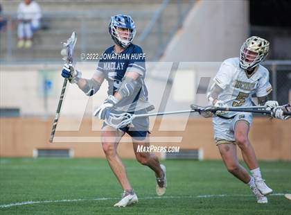 Thumbnail 3 in Maclay @ Buchholz photogallery.