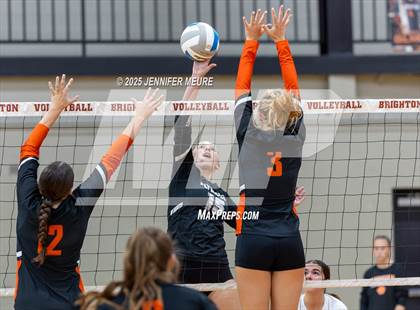 Thumbnail 3 in JV: Plymouth @ Brighton photogallery.