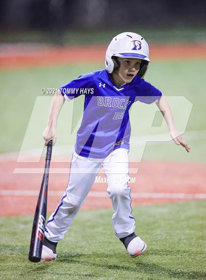 Thumbnail 2 in Early @ Brock photogallery.