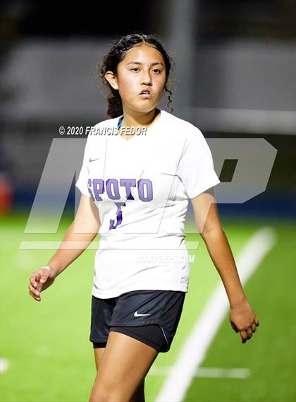 Thumbnail 1 in Spoto @ Sumner photogallery.