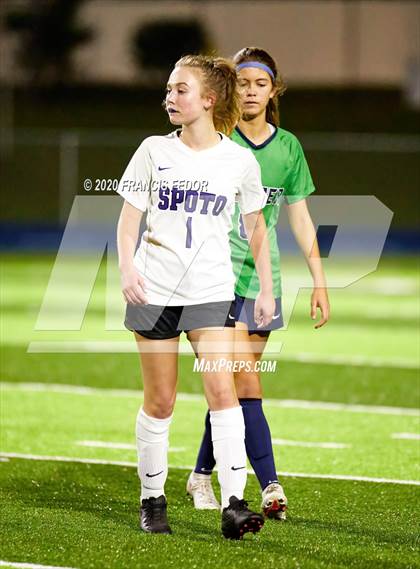 Thumbnail 1 in Spoto @ Sumner photogallery.