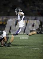 Photo from the gallery "Carlsbad @ El Camino"