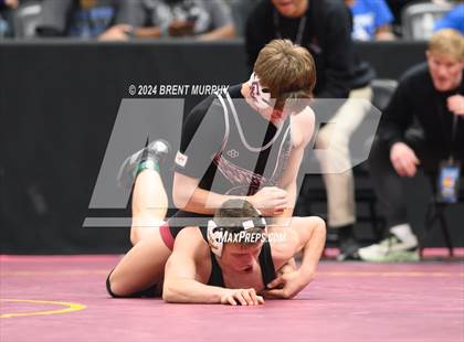 Thumbnail 1 in CHSAA State Championship - 4A 3rd Round Consolation photogallery.