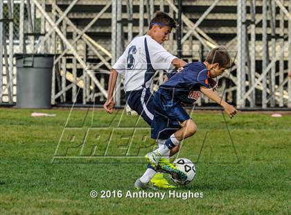 Thumbnail 1 in Manhasset vs New Hyde Park photogallery.