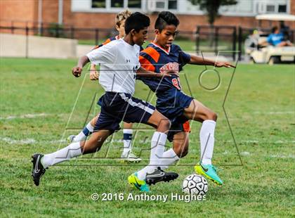 Thumbnail 1 in Manhasset vs New Hyde Park photogallery.
