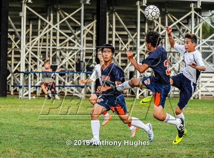 Thumbnail 3 in Manhasset vs New Hyde Park photogallery.