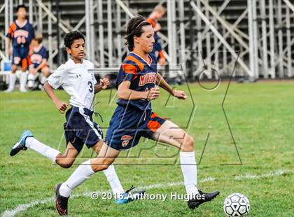 Thumbnail 3 in Manhasset vs New Hyde Park photogallery.