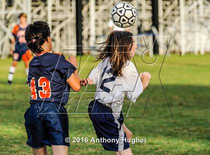 Thumbnail 1 in Manhasset vs New Hyde Park photogallery.