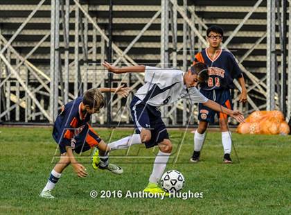 Thumbnail 2 in Manhasset vs New Hyde Park photogallery.