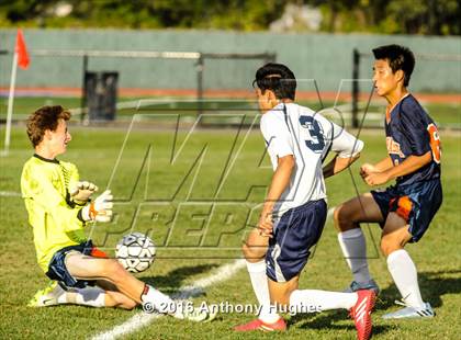 Thumbnail 3 in Manhasset vs New Hyde Park photogallery.