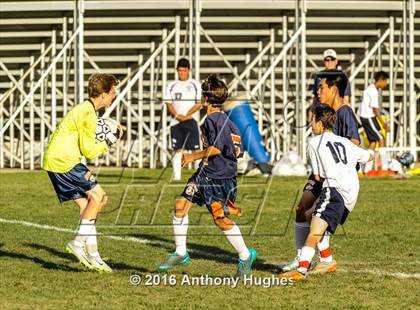 Thumbnail 3 in Manhasset vs New Hyde Park photogallery.